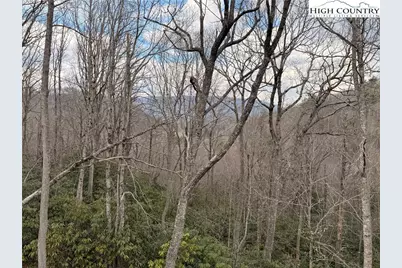Lot 39 Mossy Creek Court, Boone, NC 28607 - Photo 43
