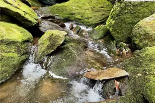 Lot 39 Mossy Creek Ct, Boone, NC 28607 - Photo 15