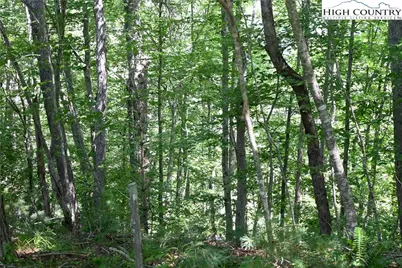 38 Turkey Ridge S. Road, Lansing, NC 28643 - Photo 9