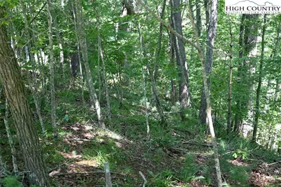 38 Turkey Ridge S. Road, Lansing, NC 28643 - Photo 7