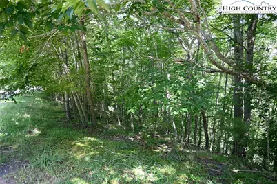 38 Turkey Ridge S. Road, Lansing, NC 28643 - Photo 3