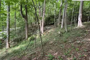 Tbd Boulder Gardens Rd, Banner Elk, NC 28604 - Photo 1