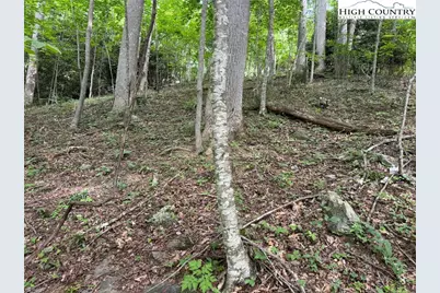 Tbd Boulder Gardens Road, Banner Elk, NC 28604 - Photo 5