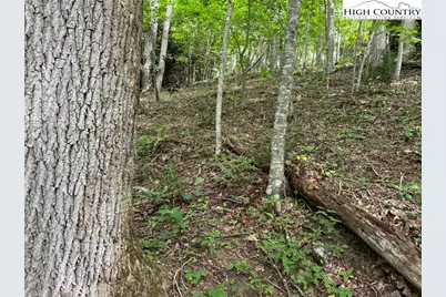 Tbd Boulder Gardens Road, Banner Elk, NC 28604 - Photo 3