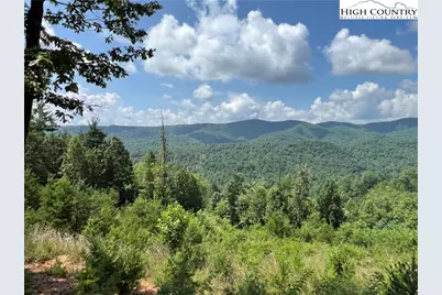 Tbd Lazy Bear Lane, Purlear, NC 28665 - Photo 13