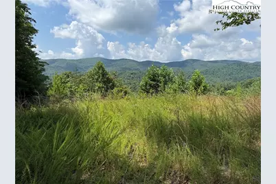 Tbd Lazy Bear Lane, Purlear, NC 28665 - Photo 21