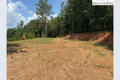 Tbd Lazy Bear Lane, Purlear, NC 28665 - Photo 11