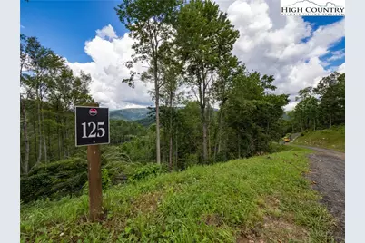 Lot 125 Tower Oaks Trail, Elk Park, NC 28622 - Photo 1