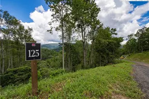 Lot 125 Tower Oaks Trail, Elk Park, NC 28622 - Photo 1