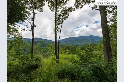 Lot 125 Tower Oaks Trail, Elk Park, NC 28622 - Photo 3