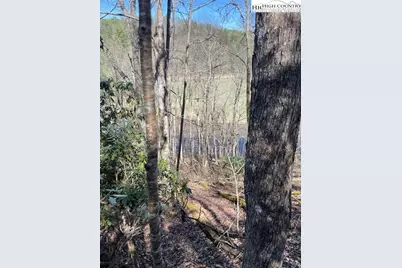 Tbd Spruce Lane, Crumpler, NC 28617 - Photo 1