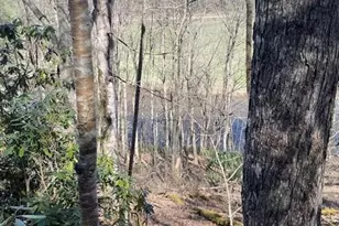 Tbd Spruce Ln, Crumpler, NC 28617 - Photo 1