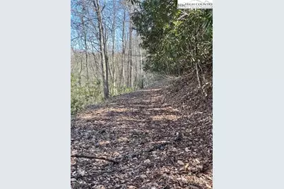 Tbd Spruce Lane, Crumpler, NC 28617 - Photo 5