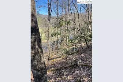 Tbd Spruce Lane, Crumpler, NC 28617 - Photo 3