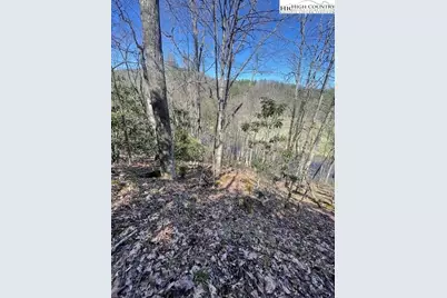 Tbd Spruce Lane, Crumpler, NC 28617 - Photo 3