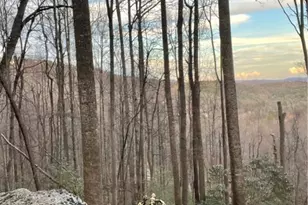 48 Wildcat Wilderness Pkwy, Deep Gap, NC 28618 - Photo 1