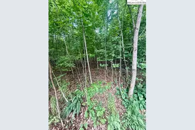 Tbd Winter Street, Jefferson, NC 28640 - Photo 5