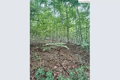 Tbd Winter Street, Jefferson, NC 28640 - Photo 13