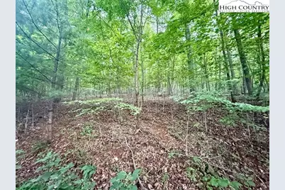 Tbd Winter Street, Jefferson, NC 28640 - Photo 9