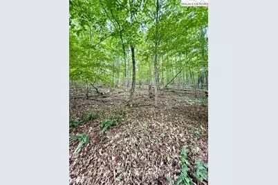 Tbd Winter Street, Jefferson, NC 28640 - Photo 7