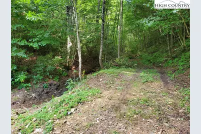 5023 Elk Park Highway, Elk Park, NC 28622 - Photo 47