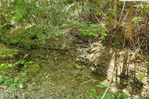 5023 Elk Park Hwy, Elk Park, NC 28622 - Photo 41