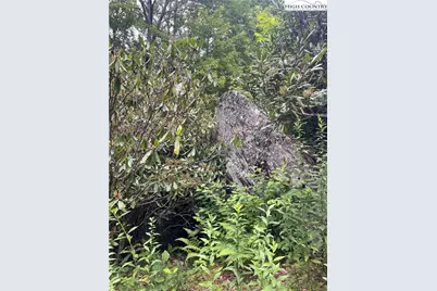 Tbd Snow Ridge Road, Banner Elk, NC 28604 - Photo 7