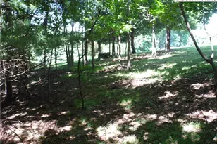 Tbd Hickory View Dr, Sparta, NC 28675 - Photo 1