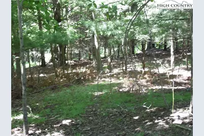 Tbd Hickory View Drive #34, Sparta, NC 28675 - Photo 3