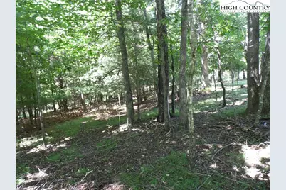 Tbd Hickory View Drive #34, Sparta, NC 28675 - Photo 9