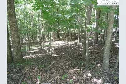 Tbd Hickory View Drive #34, Sparta, NC 28675 - Photo 7