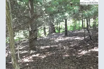 Tbd Hickory View Drive #34, Sparta, NC 28675 - Photo 11