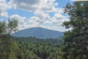 979 Wagon Rd, Warrensville, NC 28693 - Photo 3