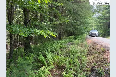 Tbd (Lot 62) Dave's Connector Road, Jefferson, NC 28640 - Photo 5