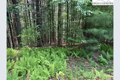 Tbd (Lot 62) Dave's Connector Road, Jefferson, NC 28640 - Photo 9