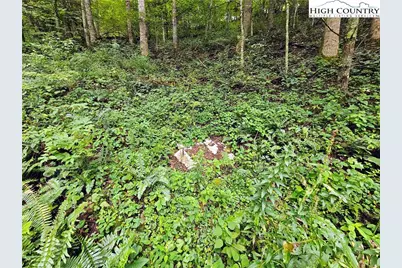 13296 Nc Highway 194, Lansing, NC 28643 - Photo 27