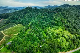 13296 Nc Hwy 194, Lansing, NC 28643 - Photo 35