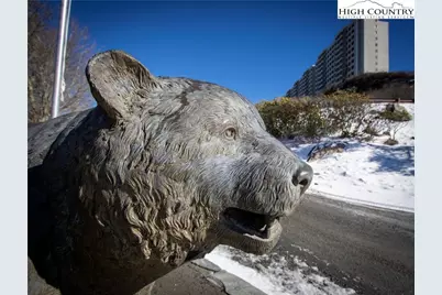 303 Sugar Top Drive #2718, Sugar Mountain, NC 28604 - Photo 23