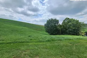 459 Edwards Rd, Ennice, NC 28623 - Photo 33