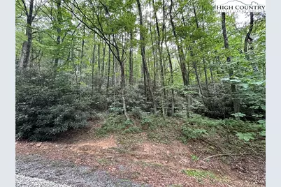 Tbd Jewel Weed Lane, Blowing Rock, NC 28605 - Photo 9