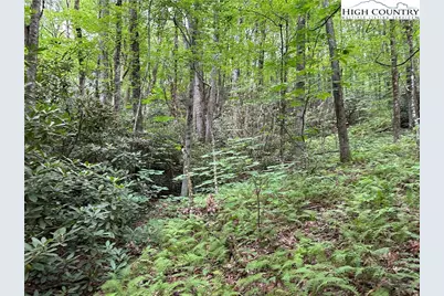 Tbd Jewel Weed Lane, Blowing Rock, NC 28605 - Photo 5