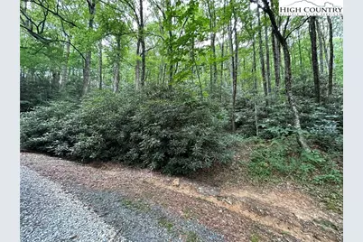 Tbd Jewel Weed Lane, Blowing Rock, NC 28605 - Photo 7