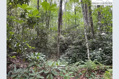 Tbd Jewel Weed Lane, Blowing Rock, NC 28605 - Photo 17