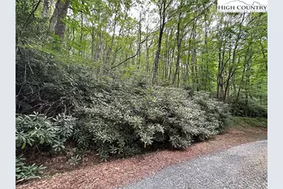 Tbd Jewel Weed Lane, Blowing Rock, NC 28605 - Photo 3
