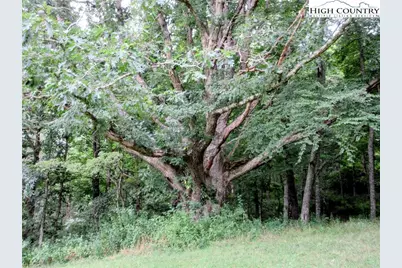 1294 Spencer Branch Road, Lansing, NC 28643 - Photo 33