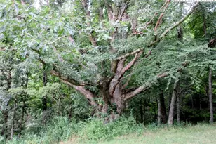 1294 Spencer Branch Rd, Lansing, NC 28643 - Photo 33