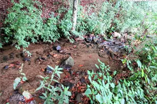 1294 Spencer Branch Rd, Lansing, NC 28643 - Photo 5