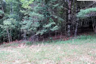 1294 Spencer Branch Rd, Lansing, NC 28643 - Photo 35