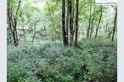 1294 Spencer Branch Road, Lansing, NC 28643 - Photo 37