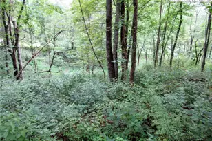 1294 Spencer Branch Rd, Lansing, NC 28643 - Photo 37